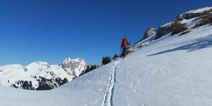 Und hier mal ein (seltenes) Bild vom Chef ;-)