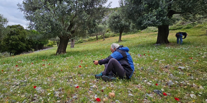 Frühlingsentdeckungen ... :-)