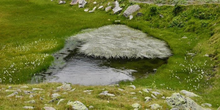 Hübsche Hochmoorlandschaft.