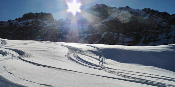 Traumhafter Pulver – hätte es denn mehr davon!