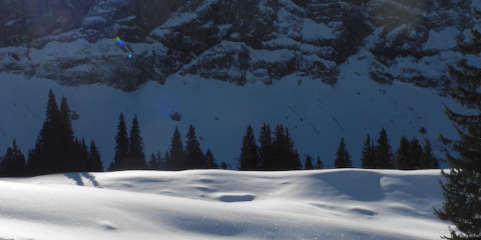 Hübsch anzuschauen ...