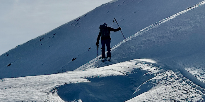 Spuren im Alpenrosenkugellagerschnee.