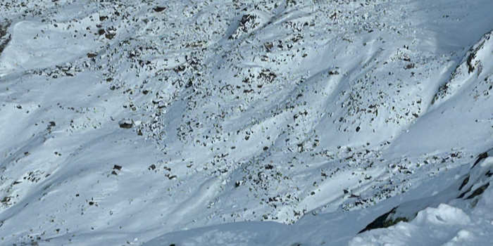 So hat es zu Beginn der Suche ausgesehen.